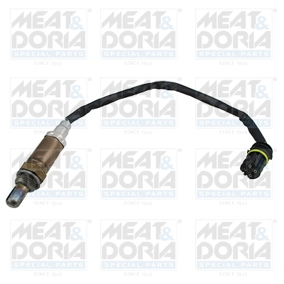 Oxygen Sensor